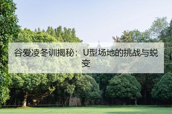 gu-ai-ling-dong-xun-jie-mi-xing-chang-di-de-tiao-zhan-yu-tui-bian-2-164.jpg